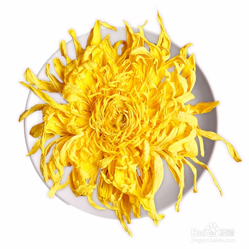 金丝皇菊的作用