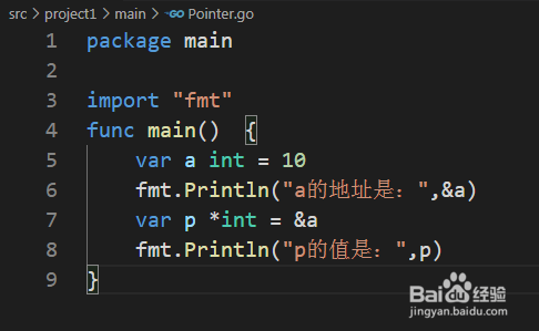Go语言如何使用指针变量