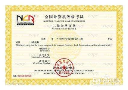 计算机二级水平怎么填