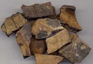 再生障碍性贫血怎么办？