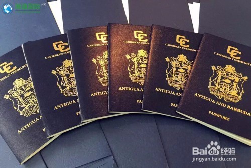 办理安提瓜移民为什么最好选择购房投资移民?