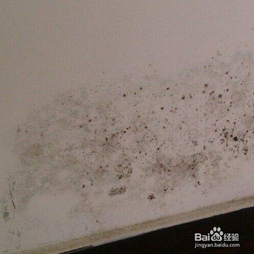 墙面发霉的原因和处理方法