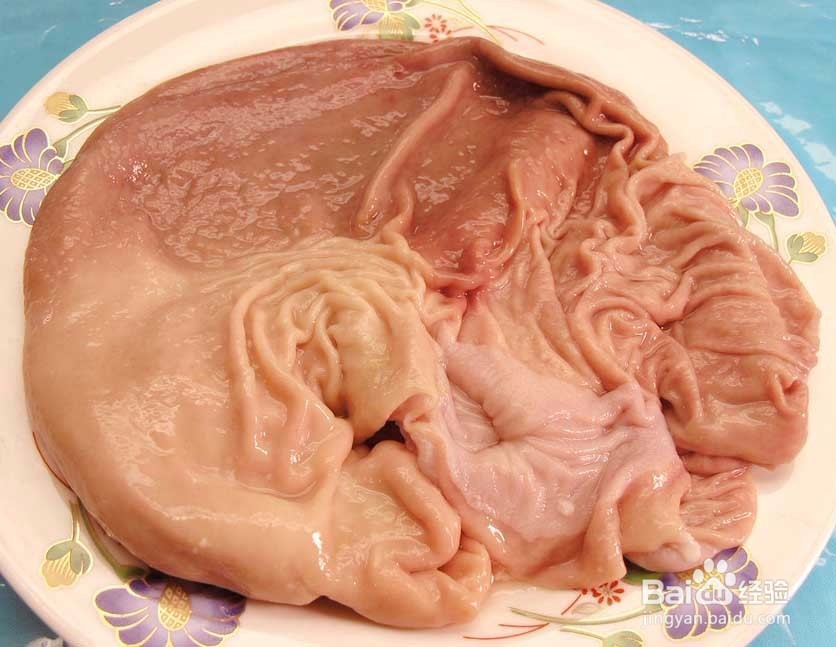 猪肚嚼不动怎么补救