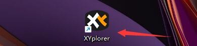 XYplorer如何设置退出时保存设置
