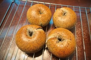 松软芝麻贝果