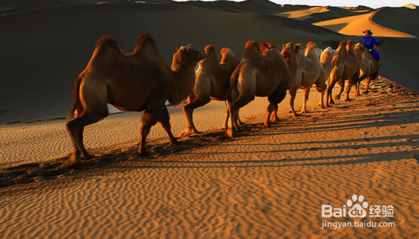 一张门票3500元！中国最贵的景点只有5万人去过