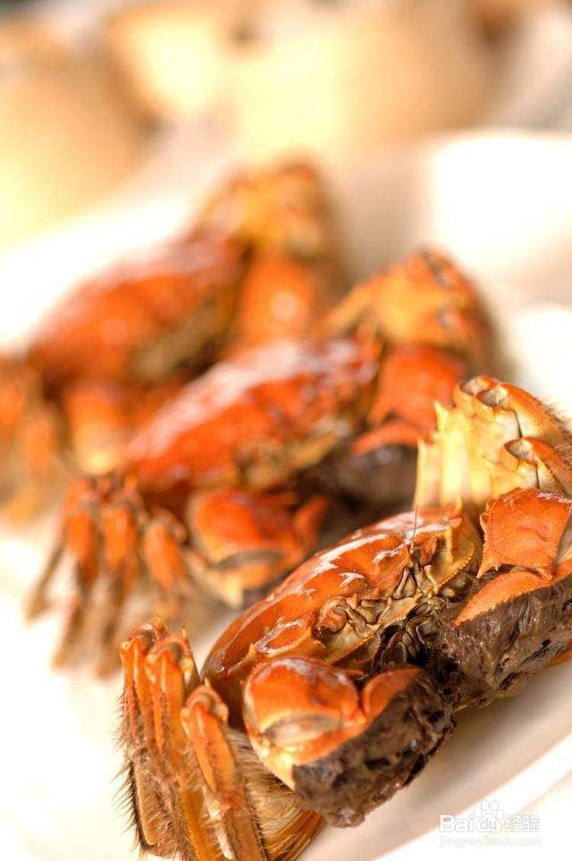 买大闸蟹要如何去挑最好最肥的呢