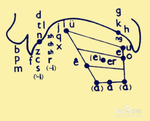 怎么教孩子区分n和l
