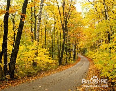 当你难过的时候,如何能快乐起来