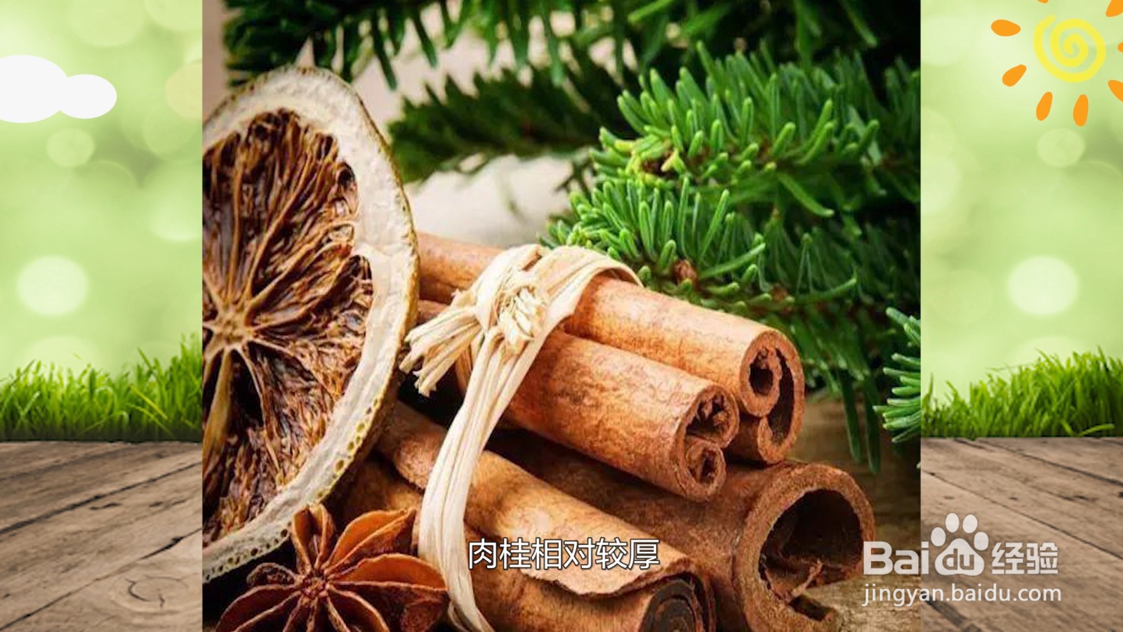 桂皮和肉桂的区别