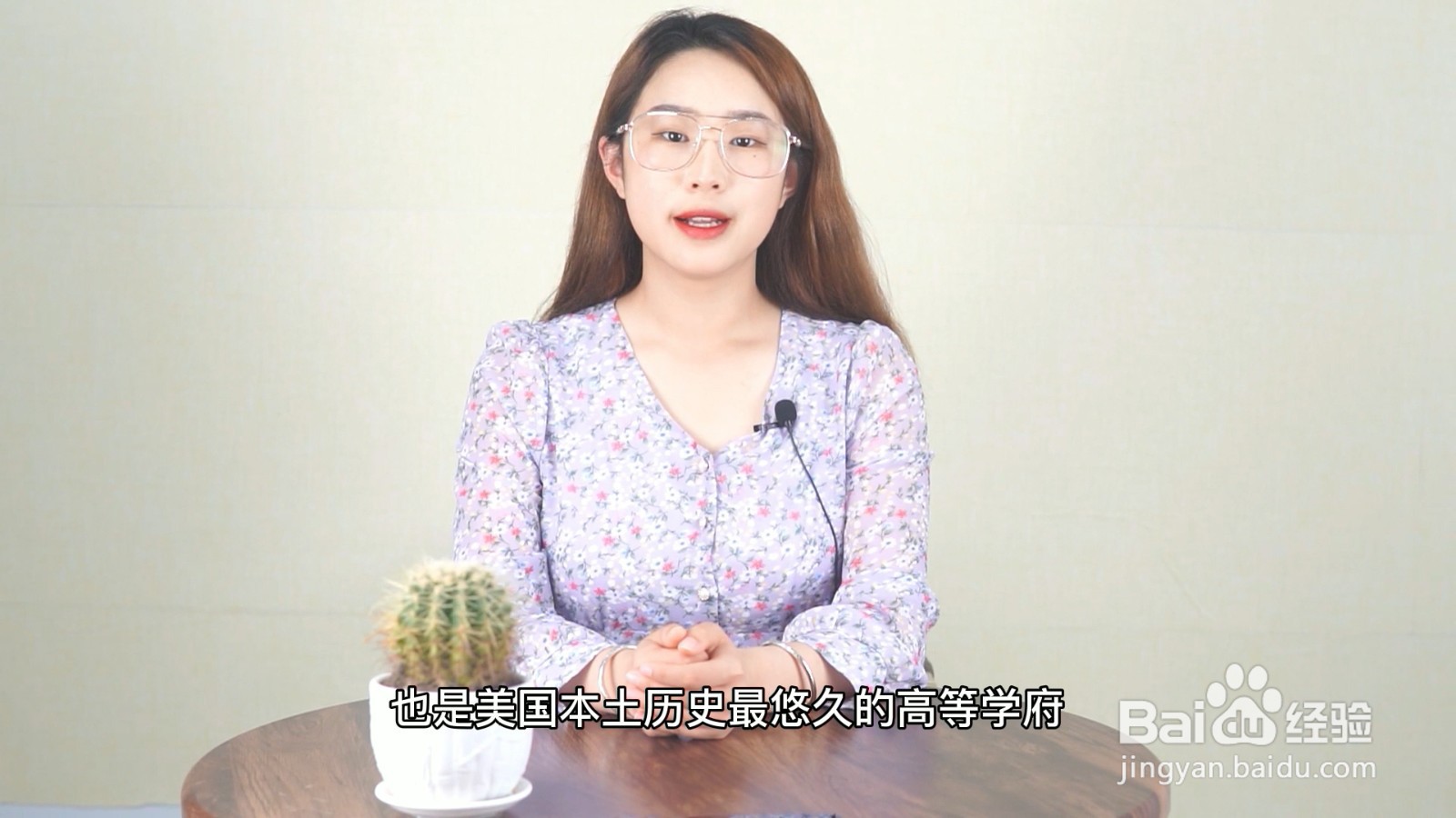 哈佛大学在美国哪个城市