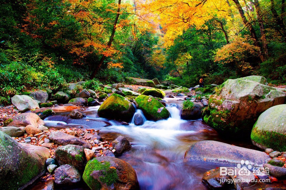 赏秋之旅——南江精品三日游