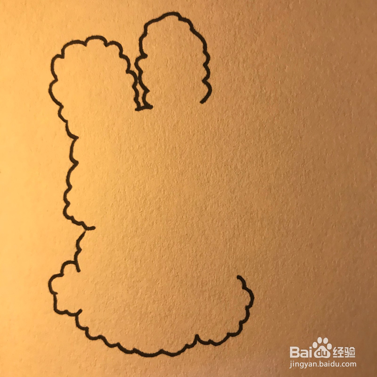 今日简笔画可爱小兔子教程