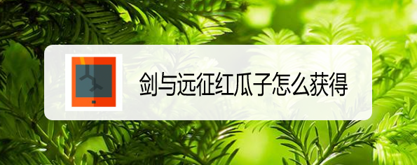 剑与远征红瓜子怎么获得