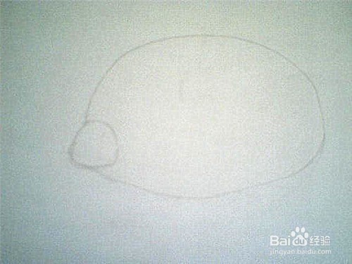 简笔画猪的画法: