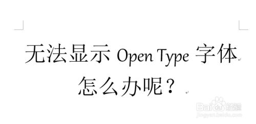 Word基本操作：[8]使用Open Type新字体（2）
