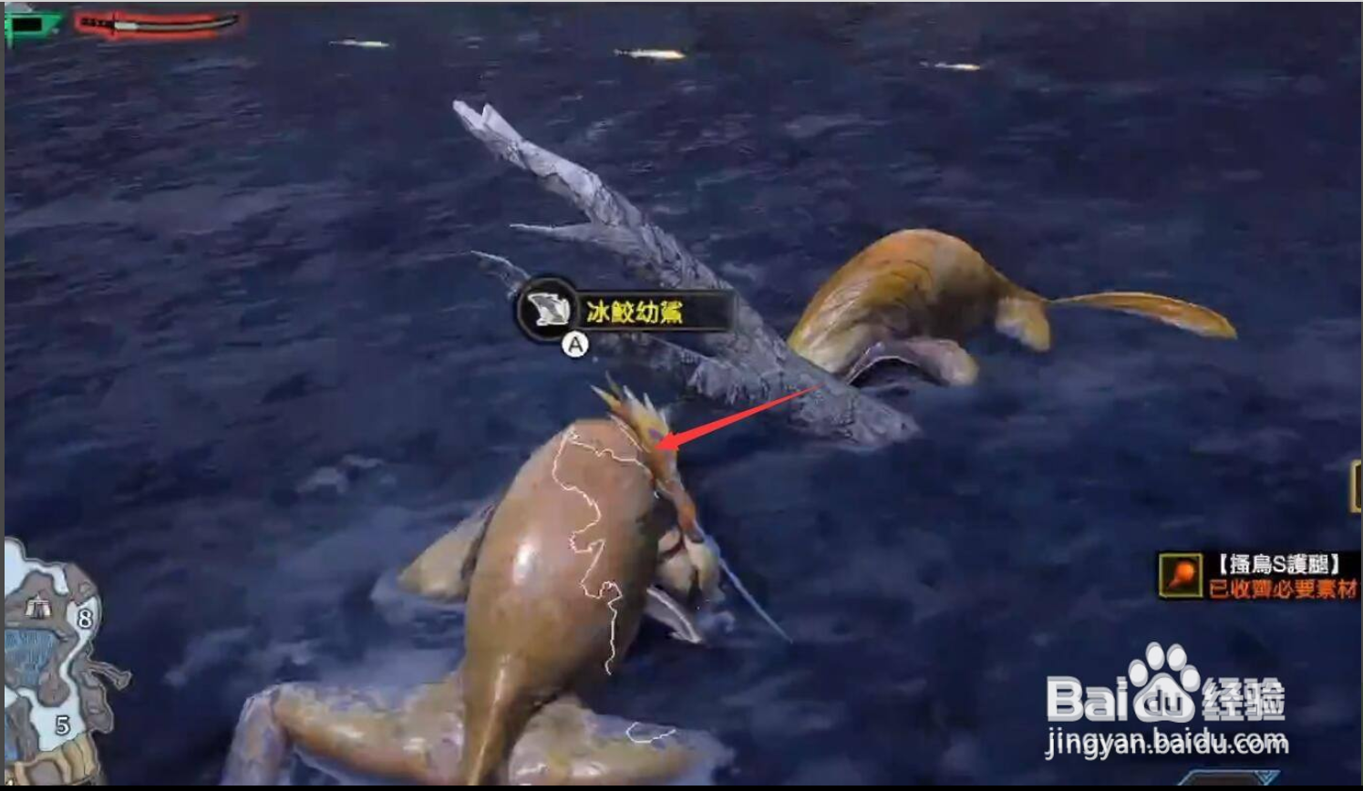 厚实的皮怎么获得