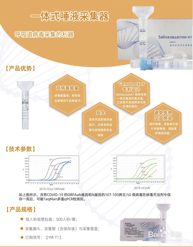 唾液采集器采集冠状病毒的使用方法