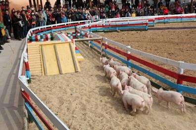 泰安太阳部落一日游全攻略