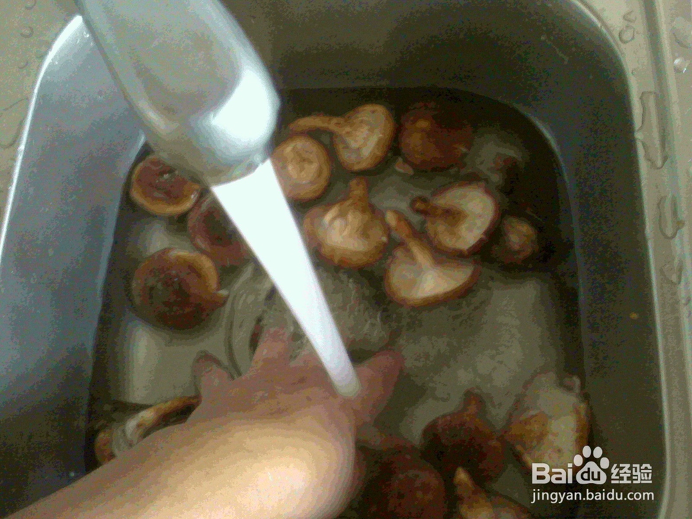 老年人怎样做好素炒香姑的备料