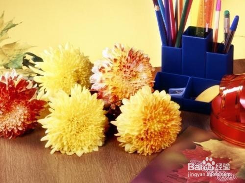 教师节给老师送什么礼物以及需要注意什么？