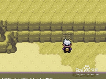 口袋妖怪漆黑的魅影5.0捷克罗姆怎么抓？