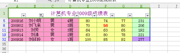 excel表格的筛选工具的应用