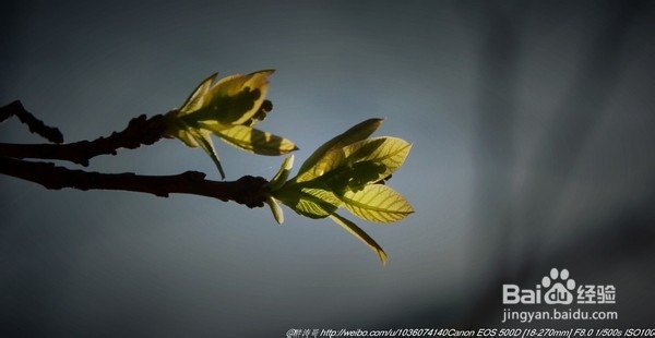 北京旅游攻略：[22]海淀公园