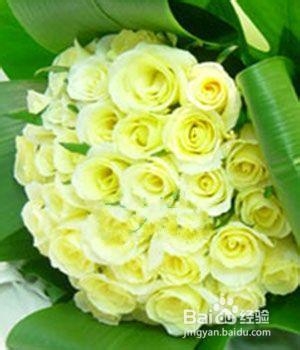 第一次和女孩约会送什么花好？