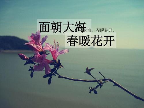 一首积极向上阳光的名人诗歌