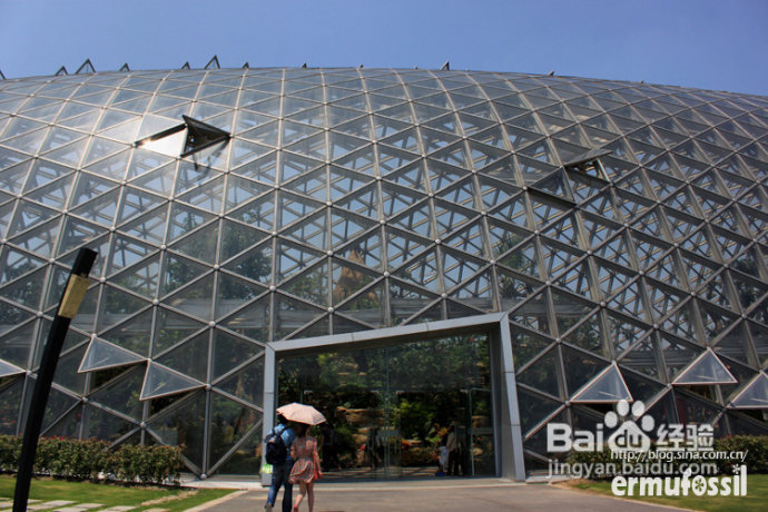 上海辰山植物园--温室植物馆