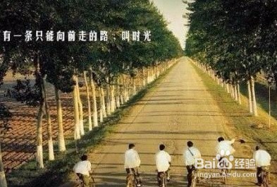 江苏专转本志愿填报建议