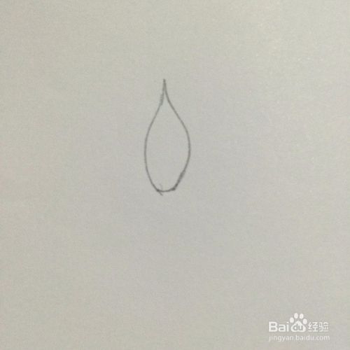 睡莲花的简单画 百度经验