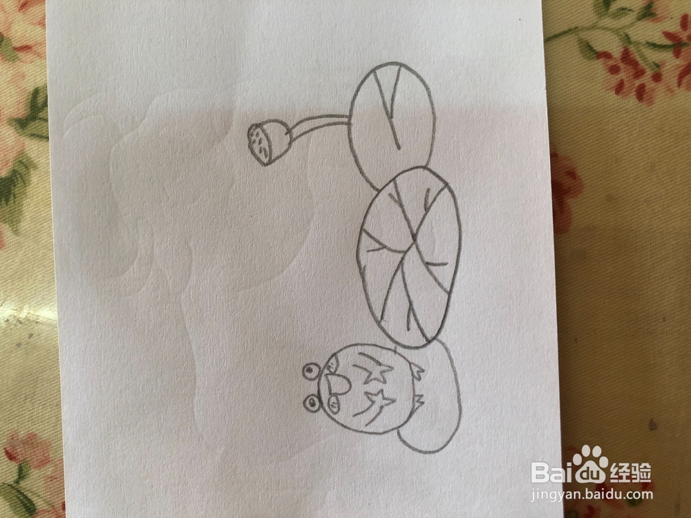 教你画夏日荷塘