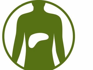 长白山药谷丁香红茶的禁忌