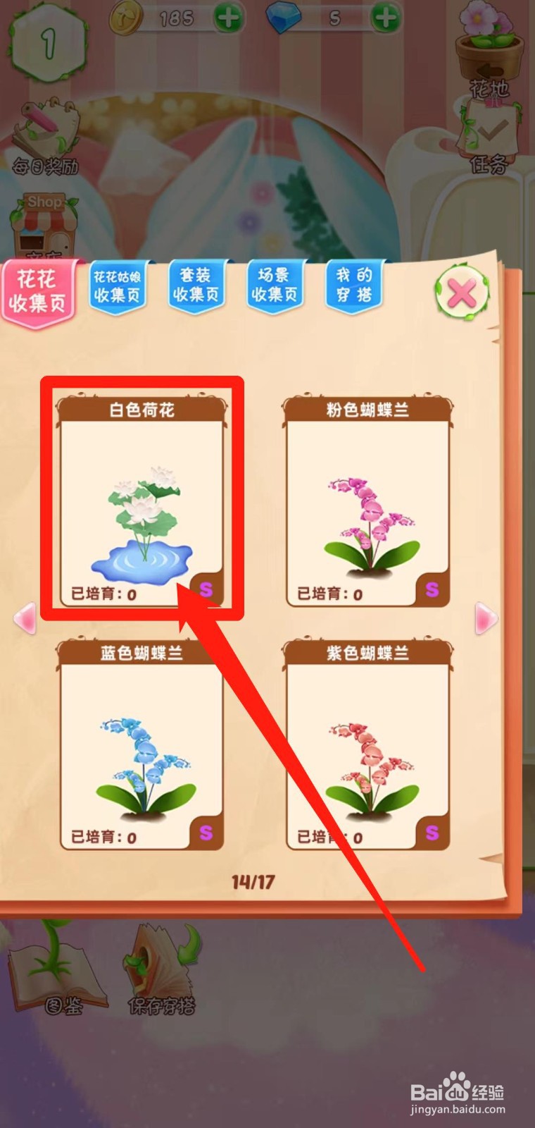 花花姑娘之魔法花园如何查看白色荷花简介