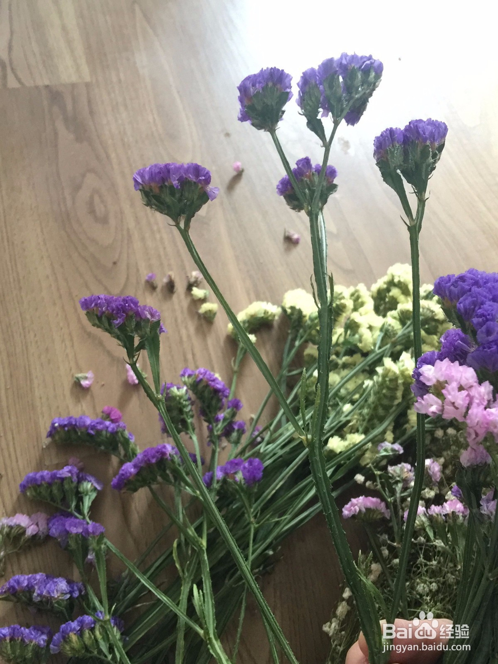 勿忘我干花花束速变瓶插花