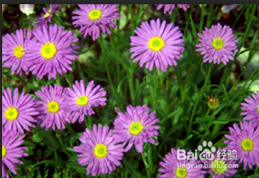 Photoshop制作花瓶透明效果