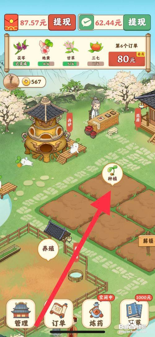 杏林世家怎么查看种植地黄