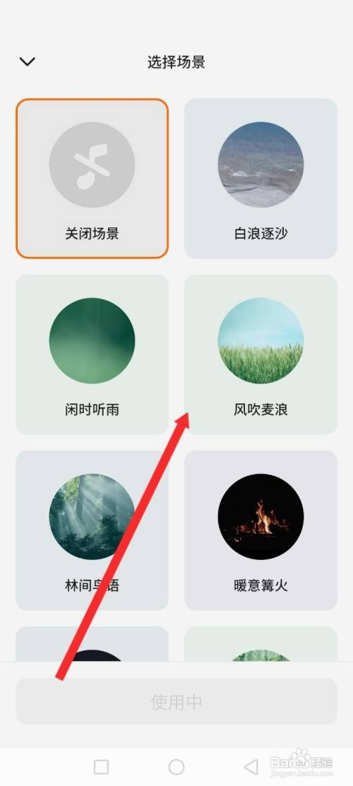 不背单词APP如何才能设置风吹麦浪沉浸场景