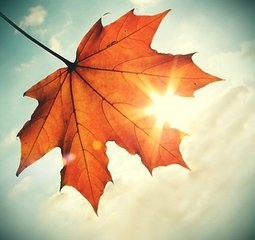 如何做好一名新生班级辅导员