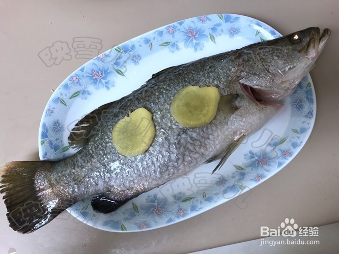用蒸鱼豉油蒸鱼的做法