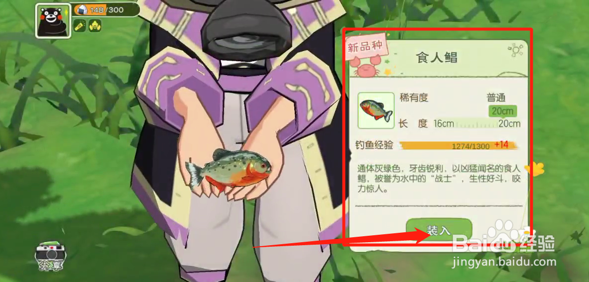 如何获得食人鲳