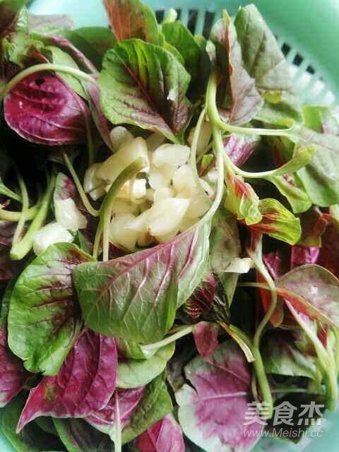 蒜蓉苋菜的做法