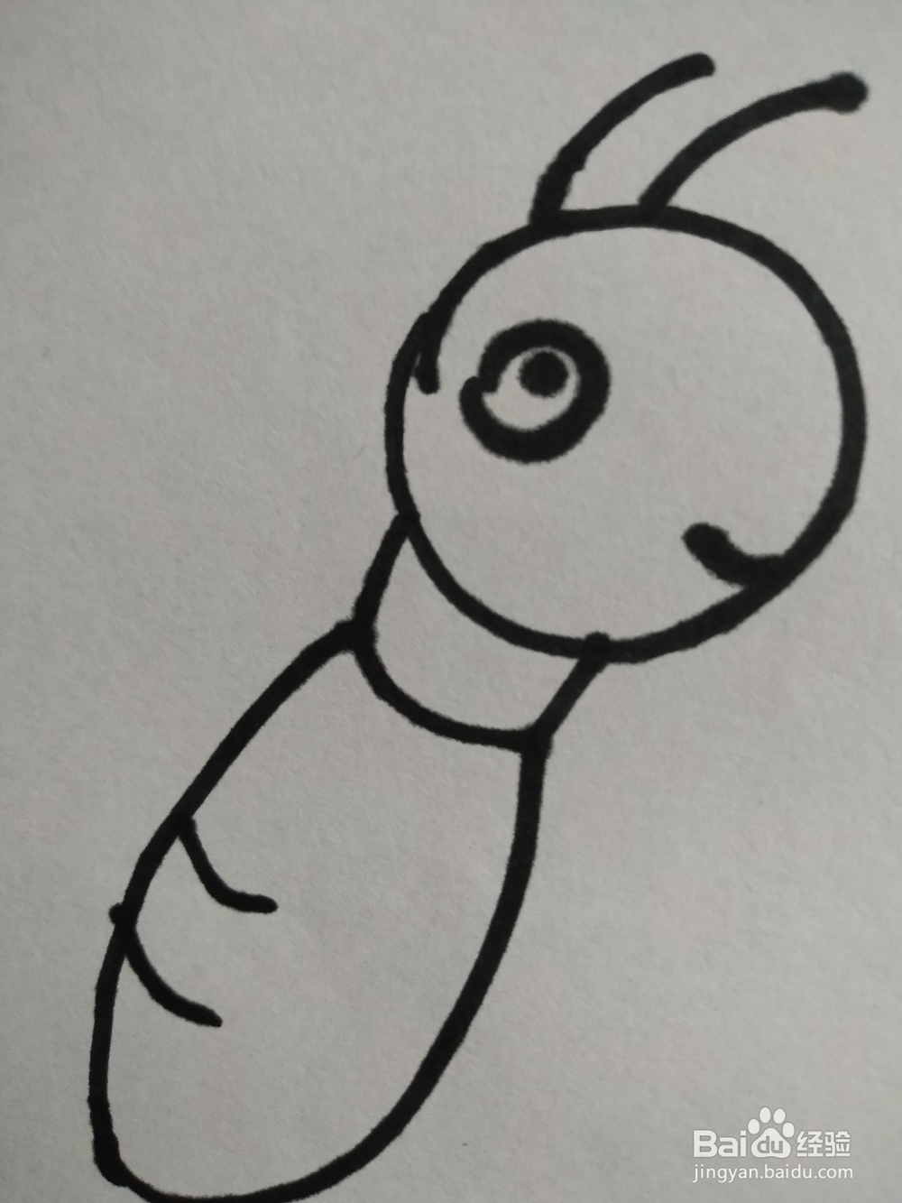 蜜蜂的简笔画技法9