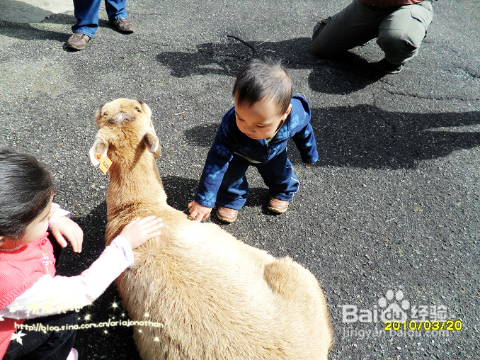 拾海的孩子&亲亲小动物(组图)