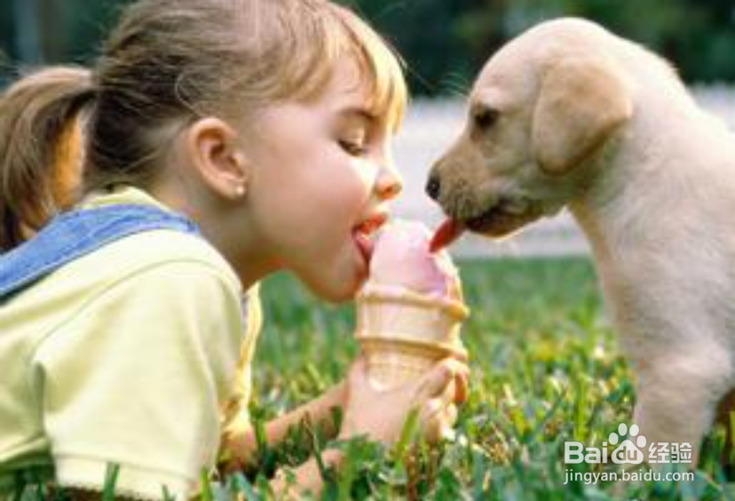 【宝贝】狂犬疫苗打了要注意些什么