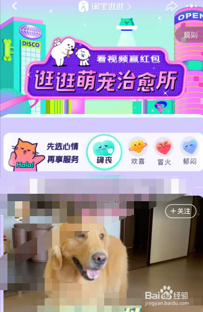 淘宝逛逛怎么进入萌宠治愈所活动