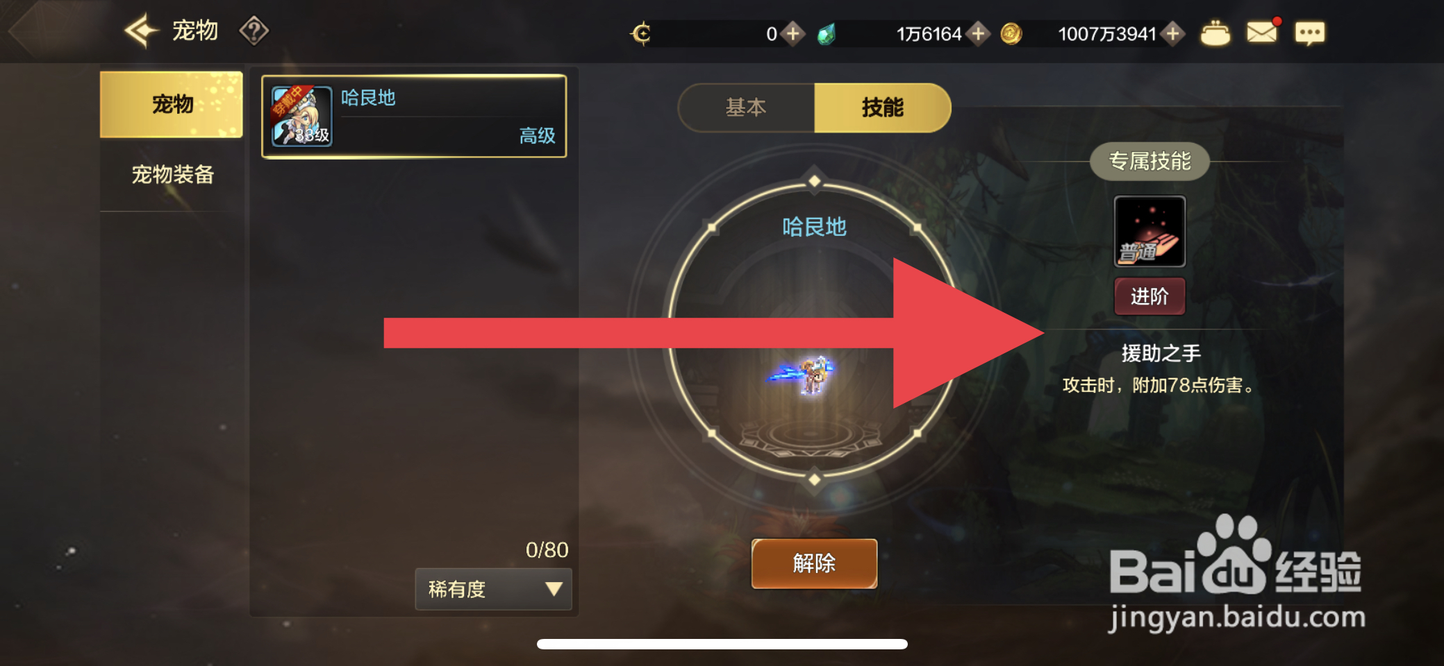 DNF手游宠物技能进阶攻略