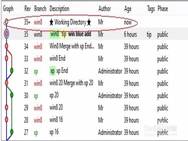 TortoiseHg-不错的版本管理工具